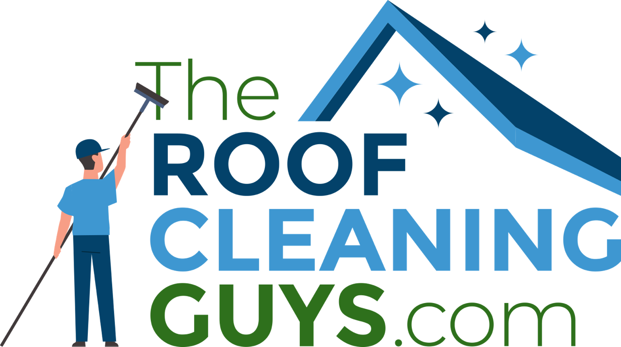 Roof Cleaning Specialists South of England